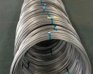 Stainless Steel Spring Wire